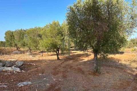 Helårsgrund i Carovigno, Brindisi, Carovigno - € 50.000 | Ref: Sierri VistaMar - foto 8